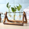 Glass & Wood Vase Planter – Minimalist Desktop Decor for Home & Office