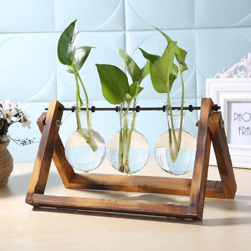 Glass & Wood Vase Planter – Minimalist Desktop Decor for Home & Office