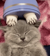 Electric Scalp & Pet Massager – Handheld Head Massager for Stress Relief, Hair Growth & Cat Grooming