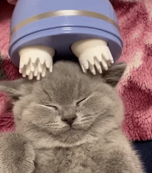 Electric Scalp & Pet Massager – Handheld Head Massager for Stress Relief, Hair Growth & Cat Grooming
