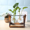 Glass & Wood Vase Planter – Minimalist Desktop Decor for Home & Office
