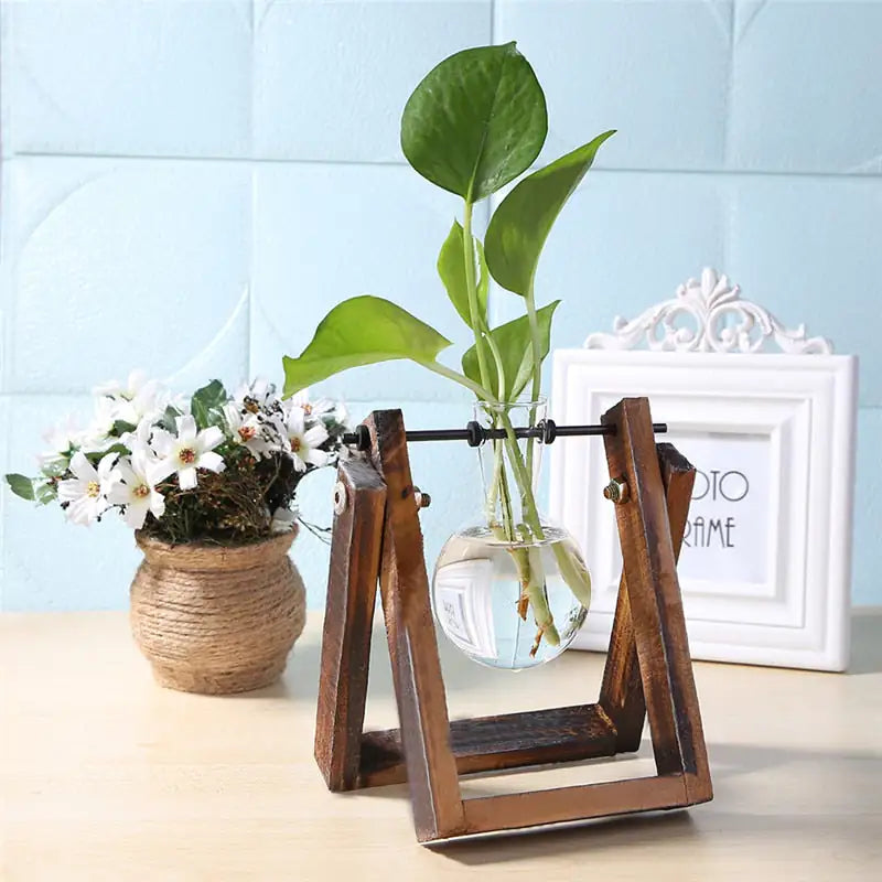 Glass & Wood Vase Planter – Minimalist Desktop Decor for Home & Office
