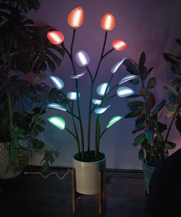 Magic Plant LED Grow Light – Full Spectrum with Timer for Indoor Plants & Succulents