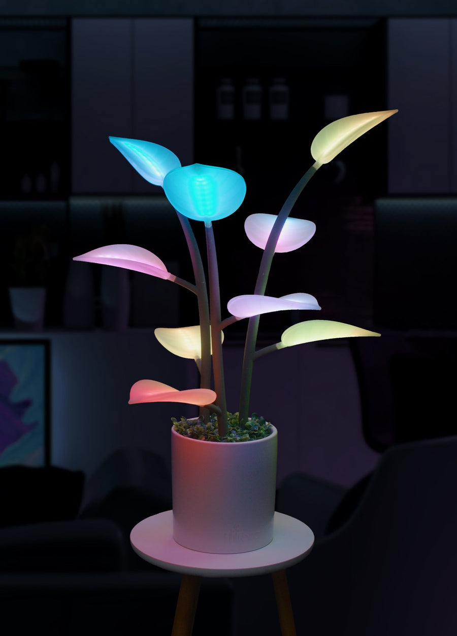 Magic Plant LED Grow Light – Full Spectrum with Timer for Indoor Plants & Succulents