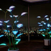 Magic Plant LED Grow Light – Full Spectrum with Timer for Indoor Plants & Succulents