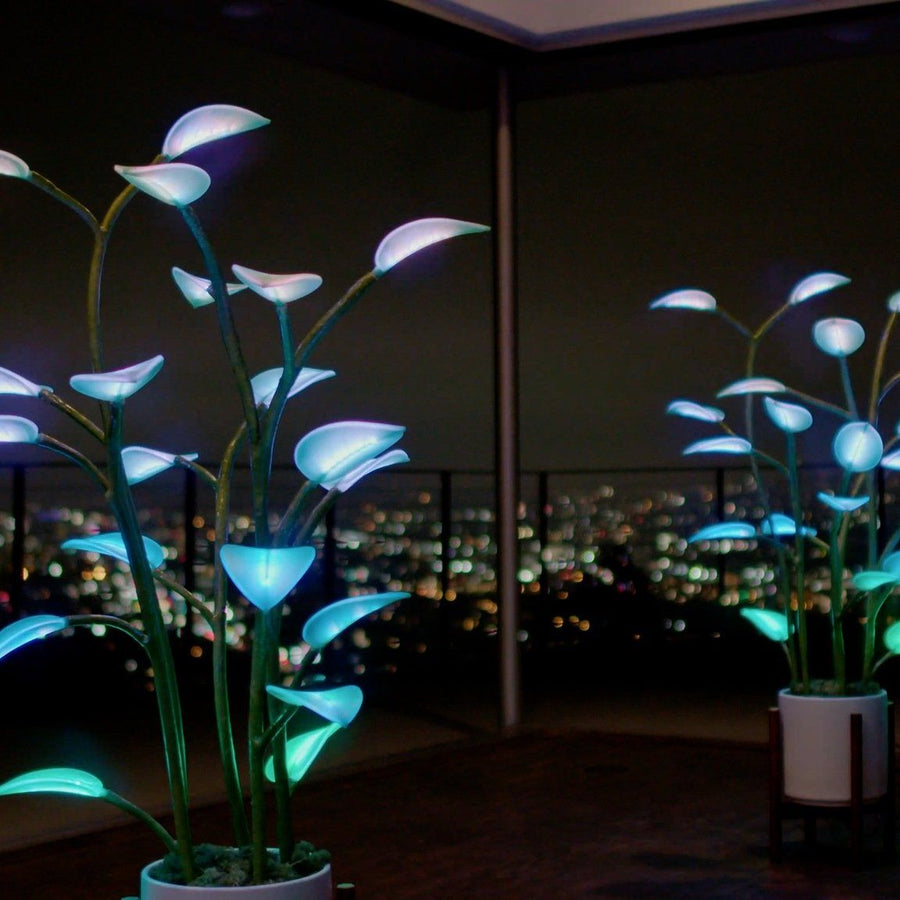 Magic Plant LED Grow Light – Full Spectrum with Timer for Indoor Plants & Succulents