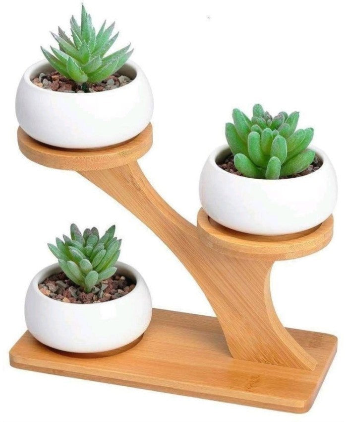 Succulent Pots & Bamboo Shelf – Eco-Friendly Plant Display Stand for Home & Desk
