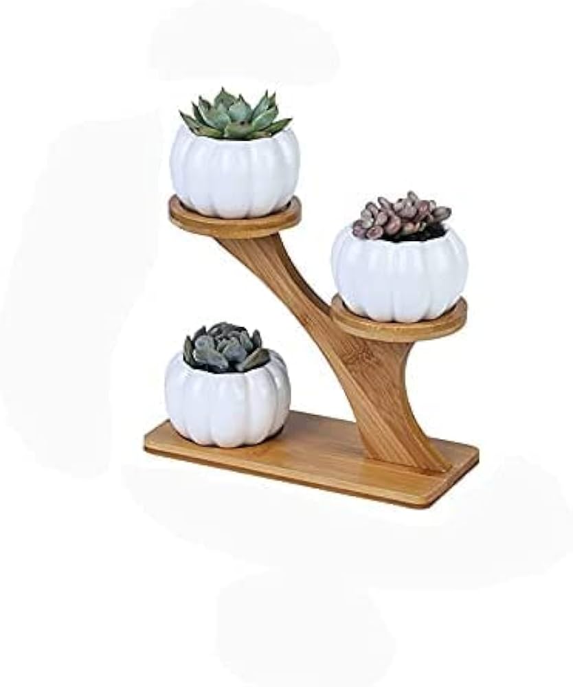 Succulent Pots & Bamboo Shelf – Eco-Friendly Plant Display Stand for Home & Desk