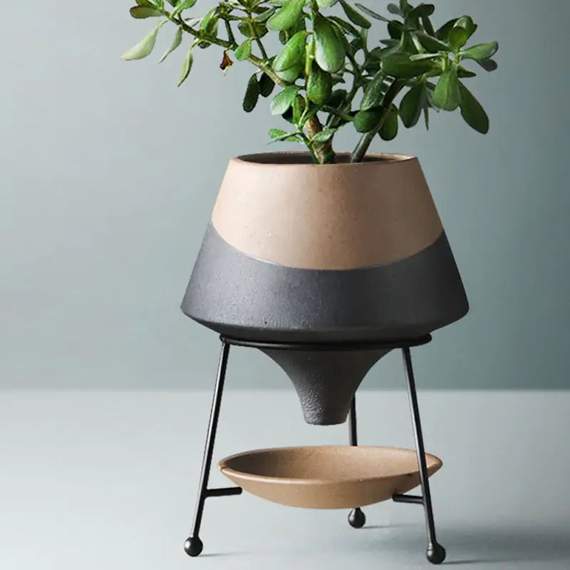 Creative Ceramic Flowerpot – Unique Plant Pot for Indoor & Outdoor Home Decor
