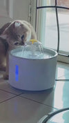 Cat Water Fountain – Automatic Filtered Pet Feeder Bowl for Healthy Hydration