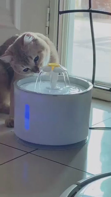 Cat Water Fountain – Automatic Filtered Pet Feeder Bowl for Healthy Hydration