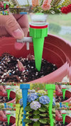 Drip Irrigation Self-Watering Spike – Automatic Plant Waterer for Indoor & Outdoor Plants
