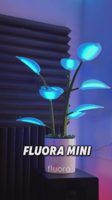 Magic Plant LED Grow Light – Full Spectrum with Timer for Indoor Plants & Succulents