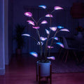 Magic Plant LED Grow Light – Full Spectrum with Timer for Indoor Plants & Succulents